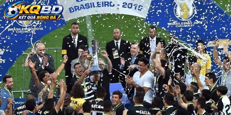 VĐQG Brazil là gì?